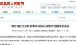 湖北最新爆料消息新闻,揭秘神秘事件背后的真相